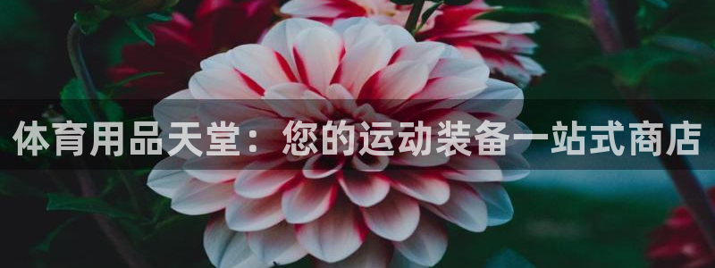 欧陆娱乐能不能玩：体育用品天堂：您的运动装备一站式商