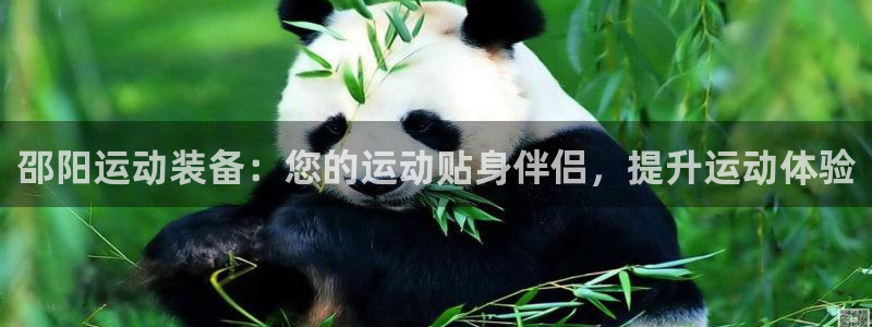 欧陆娱乐测试官网：邵阳运动装备：您的运动贴身伴侣，提