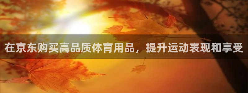 欧陆娱乐不让提现吗：在京东购买高品质体育用品，提升运