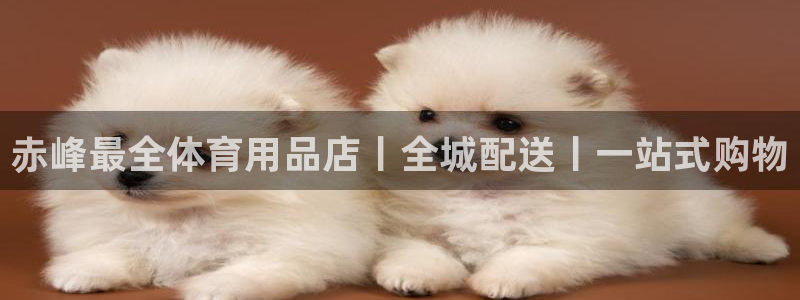 欧陆娱乐平台咋样：赤峰最全体育用品店丨全城配送丨一站