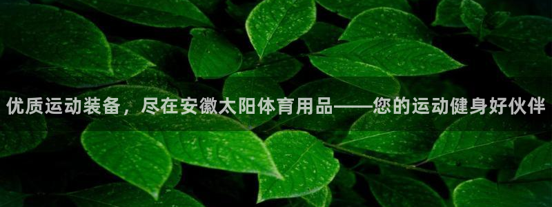 欧陆娱乐官网下载安装最新版苹果：优质运动装备，尽在安