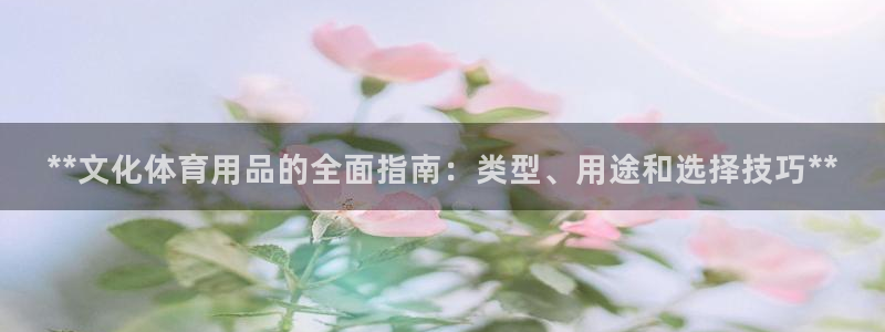 重庆欧陆娱乐有限公司：**文化体育用品的全面指南：类