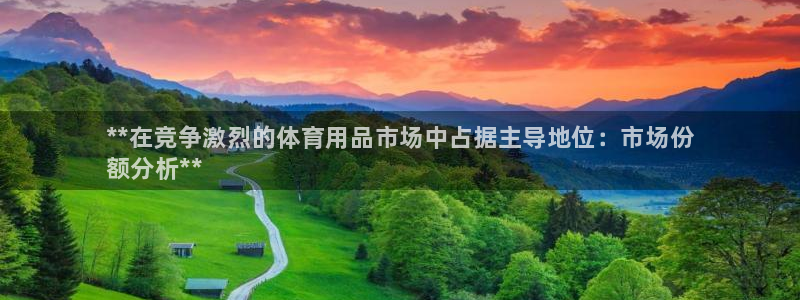 重庆欧陆娱乐有限公司怎么样：**在竞争激烈的体育用品