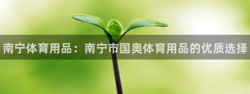 欧陆娱乐平台登陆地址是什么样的：南宁体育用品：南宁市