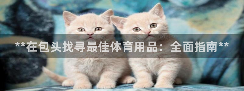 欧陆娱乐登录测速软件：**在包头找寻最佳体育用品：全
