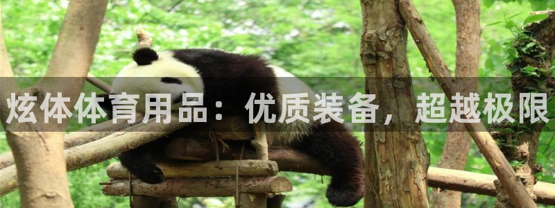 欧陆娱乐官网下载安装手机版：炫体体育用品：优质装备，