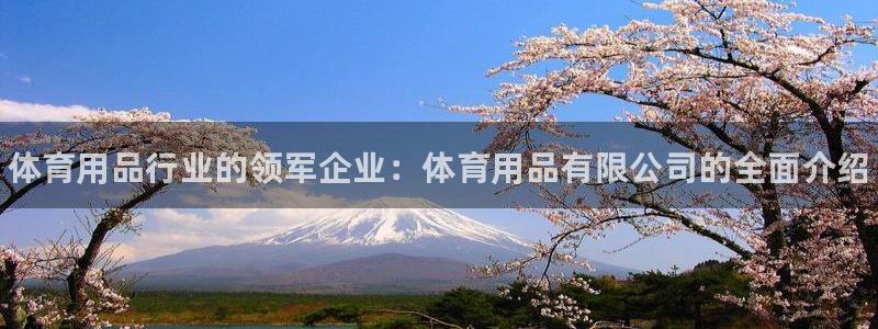 欧陆娱乐测试：体育用品行业的领军企业：体育用品有限公司的全面