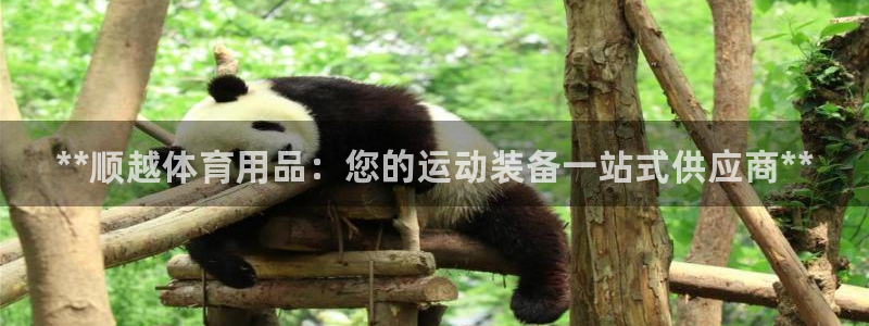 欧陆娱乐计划app官方正版安装下载：**顺越体育用品