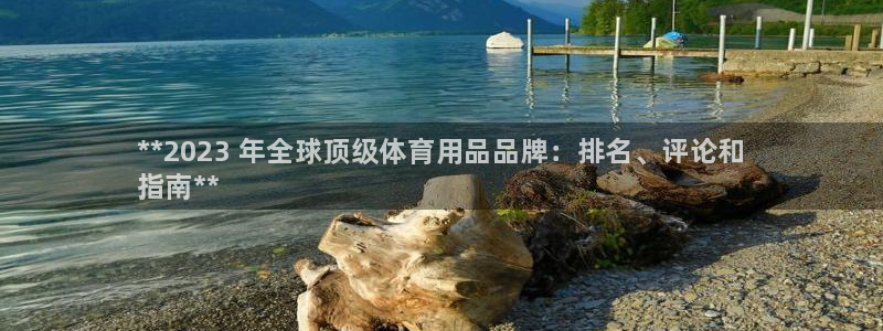 欧陆娱乐平台咋样啊安全吗：**2023 年全球顶级体育用品品