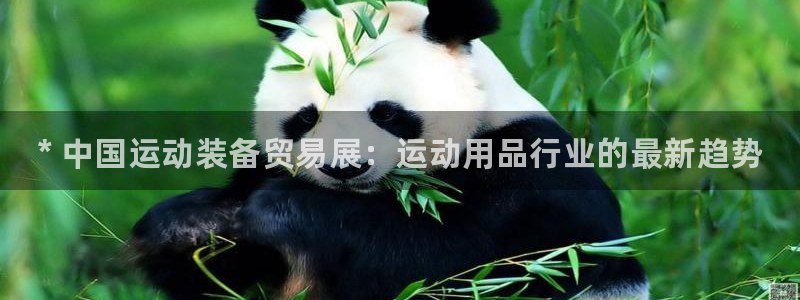 欧陆娱乐登录官网网址：* 中国运动装备贸易展：运动用品行业的