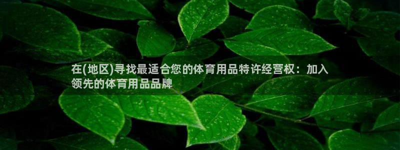 欧陆娱乐欢迎访问：在(地区)寻找最适合您的体育用品特许经营权