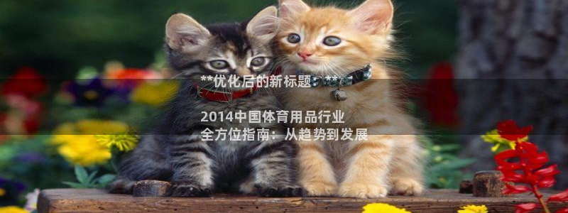 重庆欧陆娱乐有限公司：**优化后的新标题：**

2014中