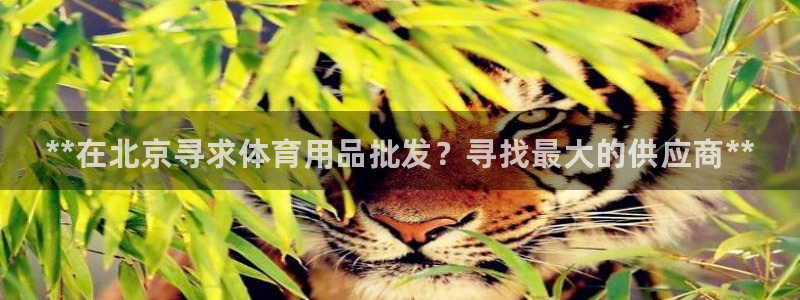 欧陆娱乐提现多久到账：**在北京寻求体育用品批发？寻找最大的