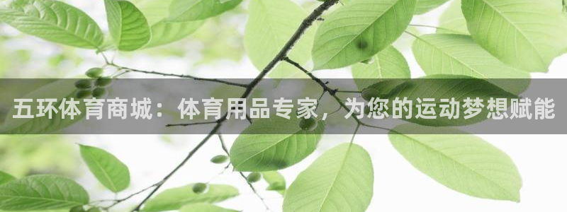重庆欧陆娱乐有限公司电话：五环体育商城：体育用品专家，为您的