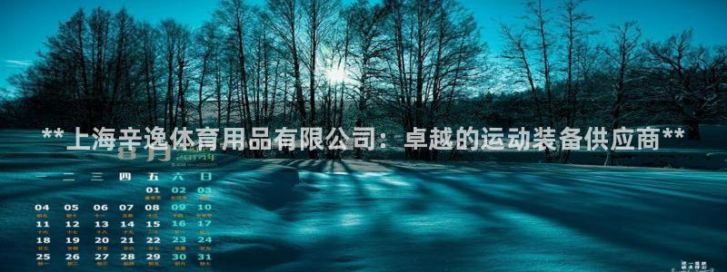 欧陆娱乐注册平台：**上海辛逸体育用品有限公司：卓越