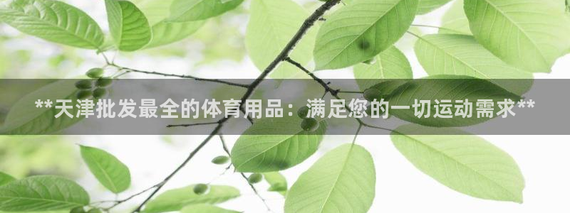 欧陆娱乐平台登录不上去：**天津批发最全的体育用品：满足您的
