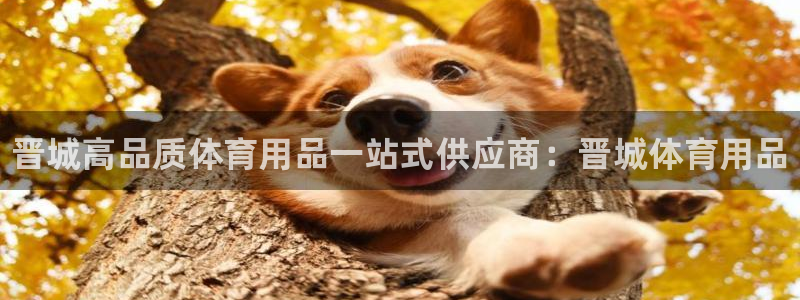 欧陆娱乐登陆平台有哪些：晋城高品质体育用品一站式供应